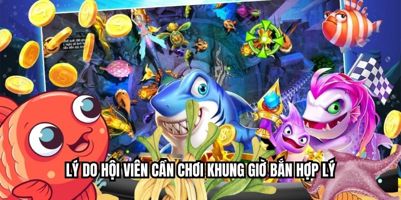 Khung Giờ Bắn Cá – Lựa Chọn Thời Điểm Gia Tăng Chiến Thắng Lý do hội viên cần chơi khung giờ bắn hợp lý